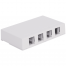 0005918_surface_mount_box_4_port_white